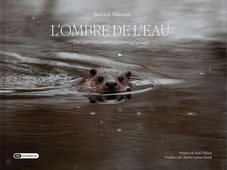 Conférence : La quête de la Loutre d'Europe, par Bastien Masson