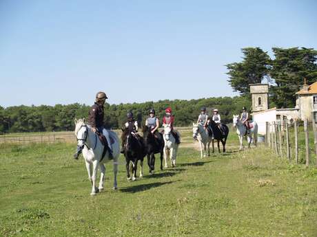 Horse riding in the forest by the haras des Evières