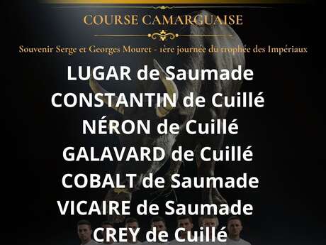 Course Camarguaise -  Trophée des Impériaux niveau AS
