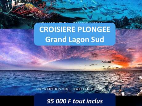 Croisière plongée grand lagon sud
