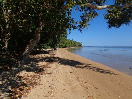 Beach of the "Pierre ATTI" campsite.