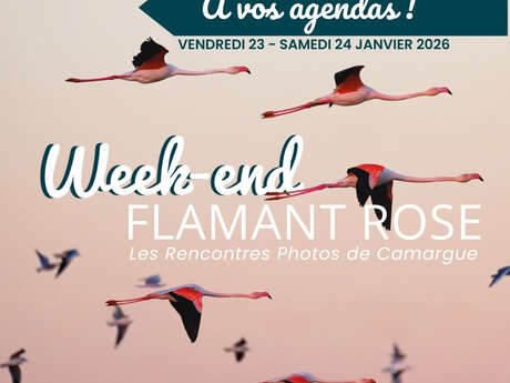 Week-end Flamant Rose - Parc Ornithologique