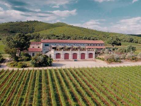 Les Musicales dans les vignes - Gypsy Jazz auf Château Galoupet