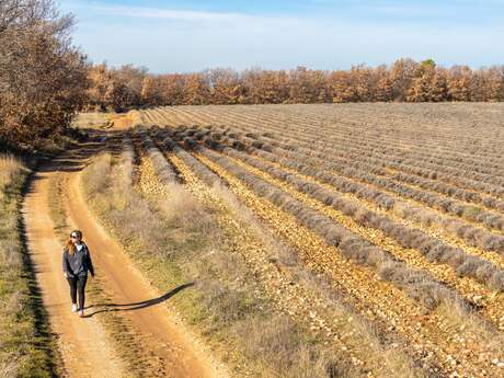 Itinéraire pédestre "Le plateau des Millarettes"