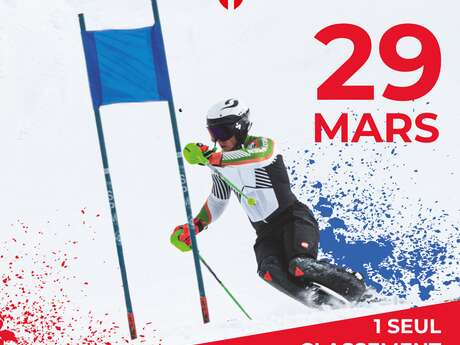 Course de slalom géant