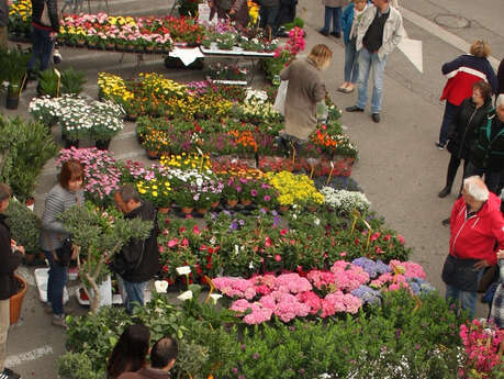 27ème fête des plantes et des fleurs