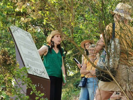 Visite guidée - Promenade Cezanne à Gardanne