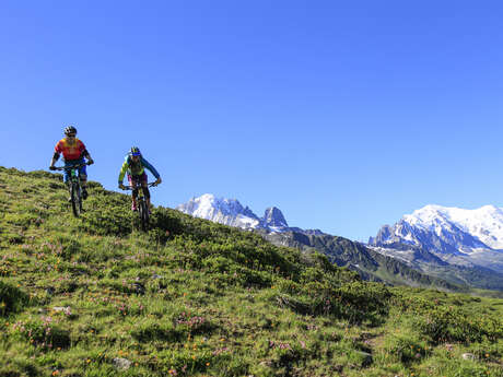 Discesa in mountain bike: Piste bleue des Marmottes - settore Balme - Chamonix