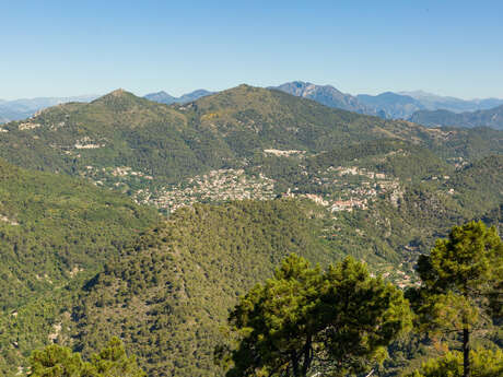 Randonnée Mont de l'Ubac