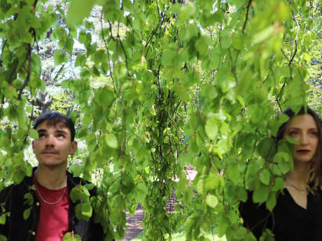 Sweet Berries en concert