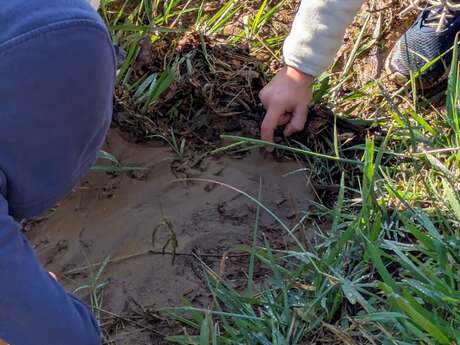 Fête de la nature : What is soil?