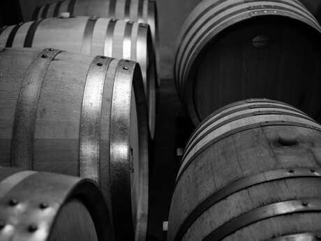 Visite de cave & dégustation au Domaine de la Coquillade