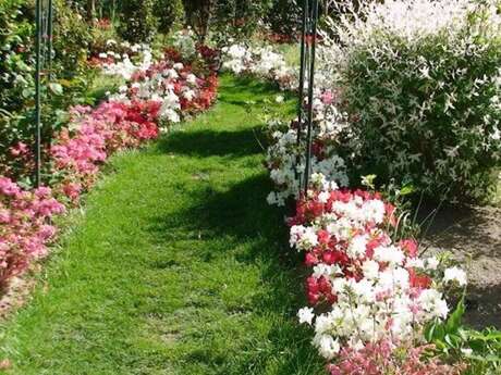 JEP 2025 : Parc Floral des Camellias