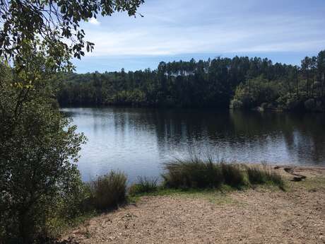 Promenade : Le Lac du Rioutard - Saint-Paul-en-Forêt