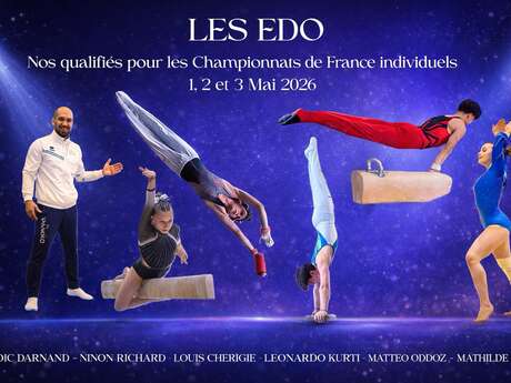 Championnat de France de Gymnastique