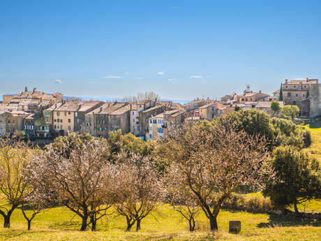 Tourtour - un des "Plus beaux villages de France"