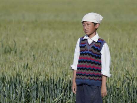 Cinéma « Le Temps des Moissons »