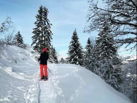 Sneeuwschoenwandeling with Ecole de ski 360