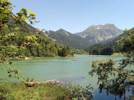 Circuit Trail 1 - Boucle du Lac de Vallon