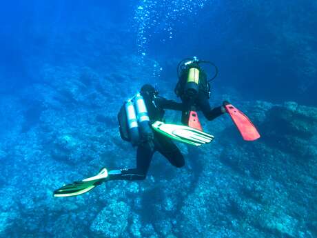 Découverte : Baptême de plongée - Lecques Aquanaut