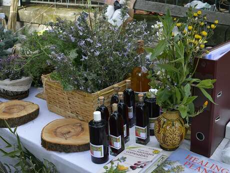 Le Mas des Collines - Ateliers des plantes sauvages