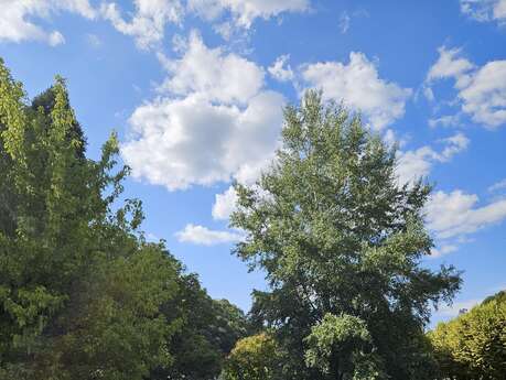 Pot d'accueil des curistes