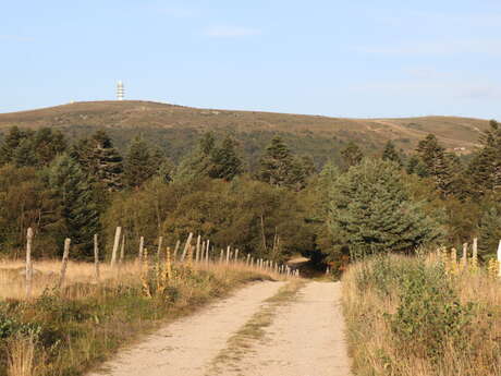 A la découverte des hautes chaumes du Forez
