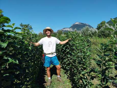 Vente d'arbres à la pépinière des Racines et des Fruits