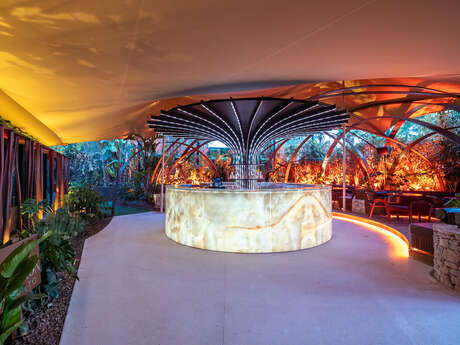 Bâoli Cannes