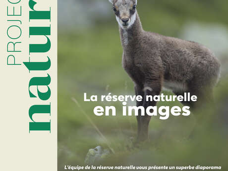 Projection nature " La réserve naturelle en images" suivi d'échanges avec la réserve naturelle