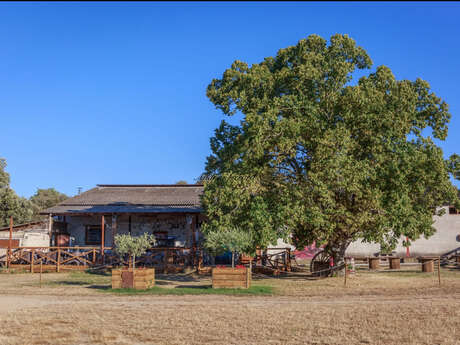La Bodega de  Margaux