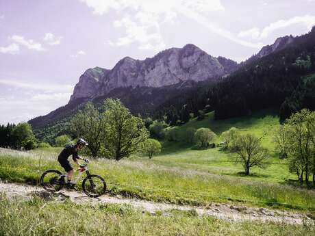 Mountain biking: Circuit n°7 The big forest