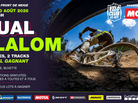 Dual Slalom