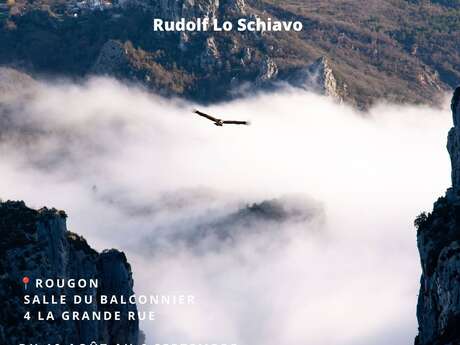 Regard Verdon