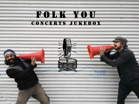Concert du groupe Folk You