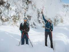 La marmotte en balade : Le plateau du Lauzet