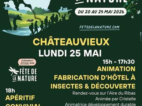 Fabrication d'hôtel à insectes et découverte