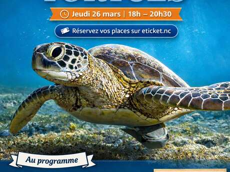 L'Odyssée des Tortues