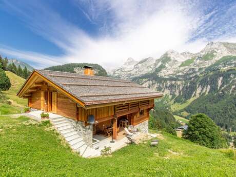 Chalet Les Frinnes