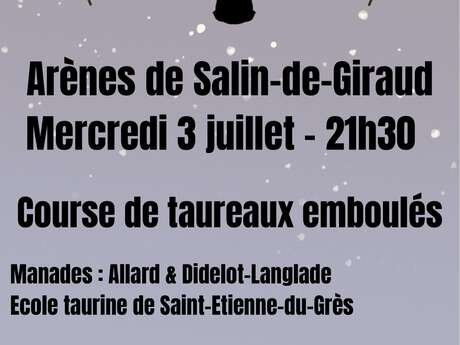 Course de taureaux emboulés à Salin-de-Giraud