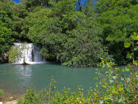 Balade nature au fil de l'eau | Rendez-vous Un dimanche en Provence Verte & Verdon