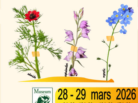 Exposition : Les Herbiers de Provence