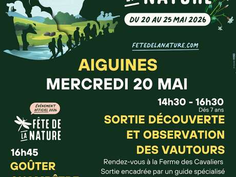 Sortie : Découverte et observations des vautours du Verdon