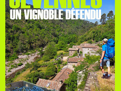 Documentaire : Cévennes, un vignoble défendu
