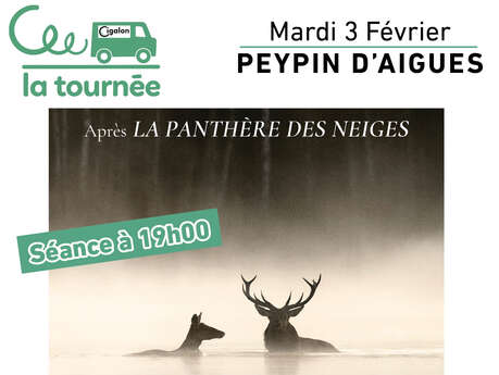 La Tournée du Cigalon à Peypin d'Aigues  : LE CHANT DES FORÊTS