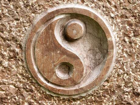Cours de Qi Gong