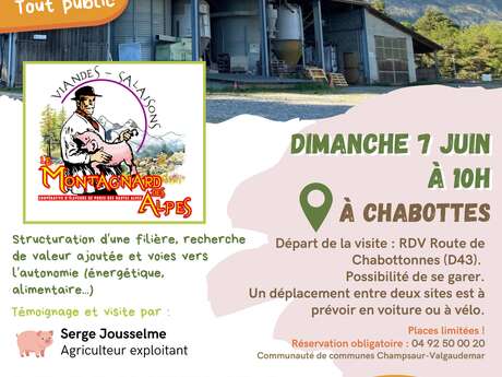 Visite d'une exploitation Porcine