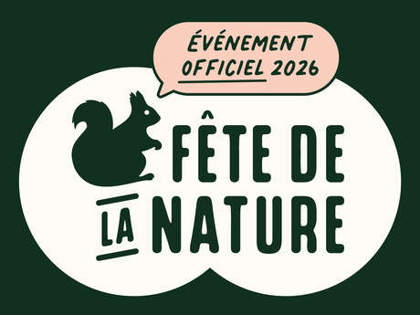 Mystères et croyances sur les animaux de la forêt