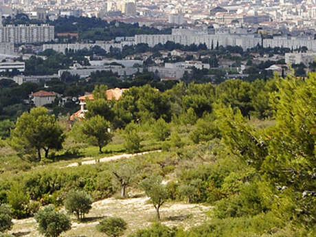 Séances d'entraînement observations Inaturalist, CNC 2026