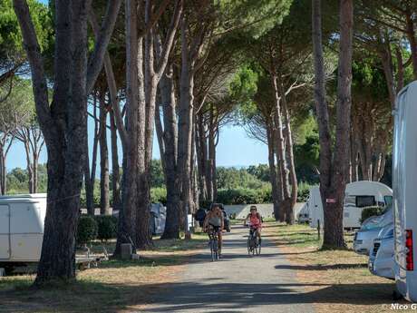 Camping de Vaudois